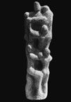 Immagine 140.jpg (23kb)
